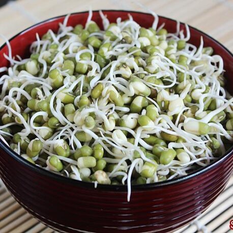 mung-bean-sprouts