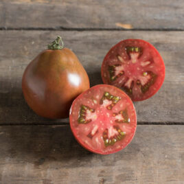 Seedling – Tomato, Japanese Black Trifele