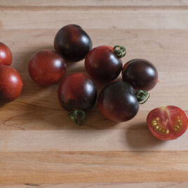 Seedling – Cherry Tomato, Indigo Cherry Drop