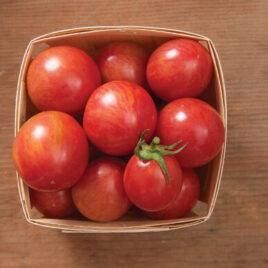 Seedling – Cherry Tomato, Pink Bumblebee