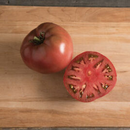Seedling – Tomato, Carbon