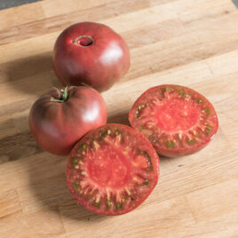 Seedling – Tomato, Cherokee Purple