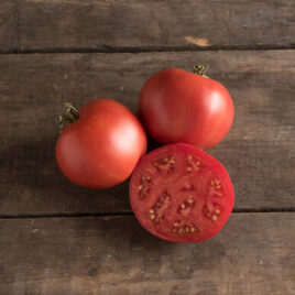 Seedling – Tomato, Moskvich