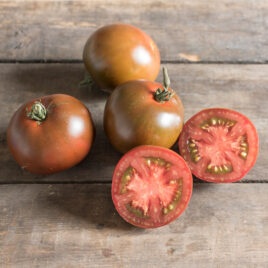 Seedling, Tomato, Black Prince