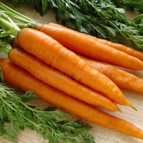 Carrot bunch